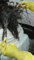 Make Money Detangling  and Dematting Tangled Matted Hair